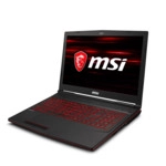 Ноутбук MSI GL73 8RD-248XRU (17.3 ", FHD 1920x1080 (16:9), Intel, Core i5, 8 Гб, HDD, nVidia GeForce GTX 1050 Ti)