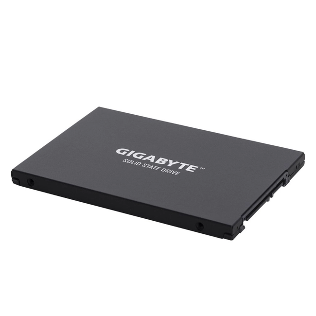 Внутренний жесткий диск Gigabyte SSD жесткий диск SATA2.5" 256GB GP-GSTFS30256GTTD (SSD (твердотельные), 256 ГБ, 2.5 дюйма, SATA)