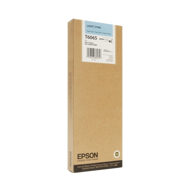 Струйный картридж Epson 6065 C13T606500