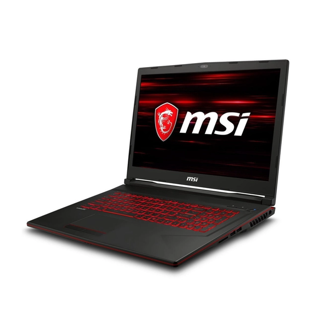 Ноутбук MSI GL73^8RD-247XRU (17.3 ", FHD 1920x1080 (16:9), Core i7, 8 Гб, HDD и SSD, 128 ГБ, nVidia GeForce GTX 1050 Ti)