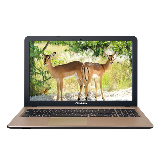 Ноутбук Asus X540NA GQ045 90NB0HG1-M00620 (15.6 ", HD 1366x768 (16:9), Celeron, 4 Гб, HDD, Intel HD Graphics)